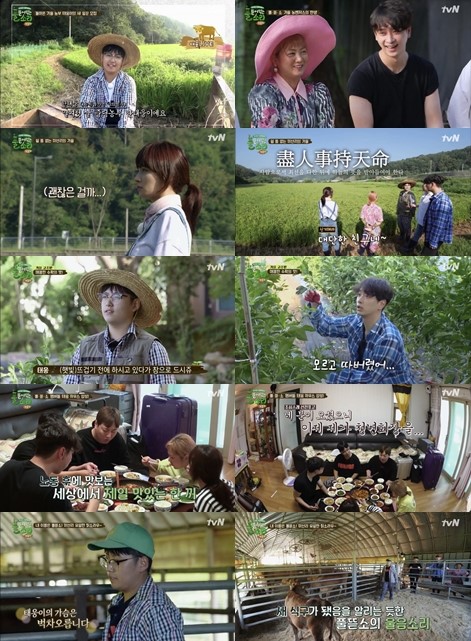 사진= tvN '풀 뜯어먹는 소리 가을편' 캡쳐